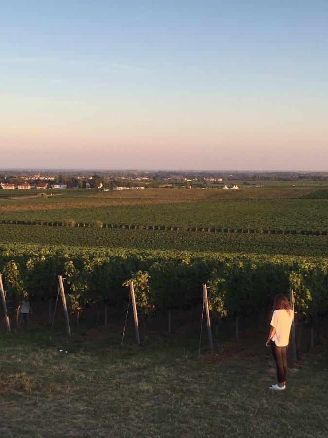 Отель Alter Winzerhof Weisenheim Am Berg E.K. Экстерьер фото